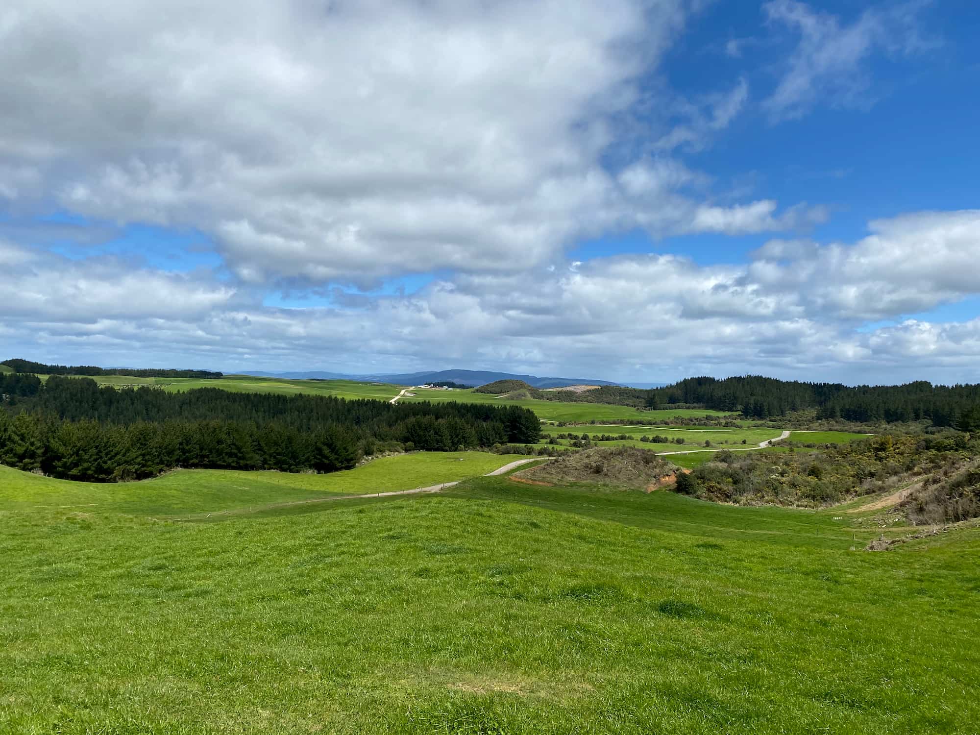 Making Good Use Of A Crisis, Southern Pastures
