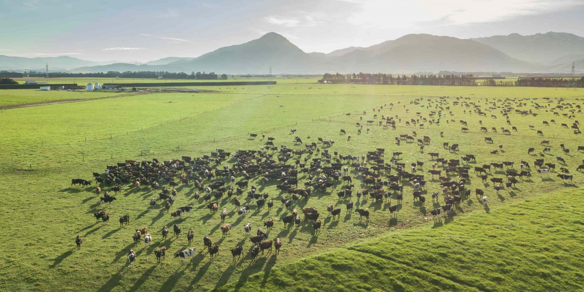 The Farm of Eden, Southern Pastures